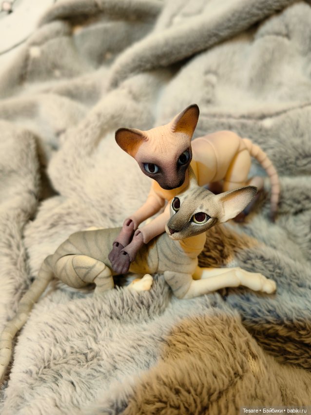 Любовь, кусь и котики — Домашние фото авторских кукол: личные коллекции