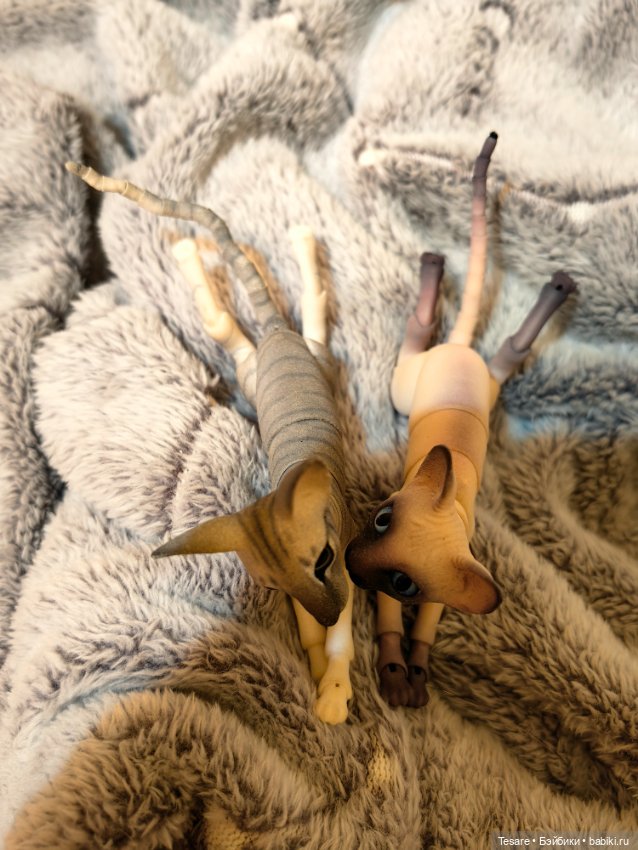 Любовь, кусь и котики — Домашние фото авторских кукол: личные коллекции