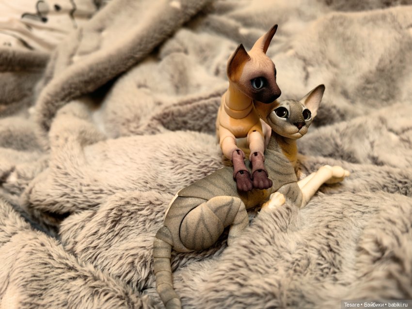 Любовь, кусь и котики — Домашние фото авторских кукол: личные коллекции