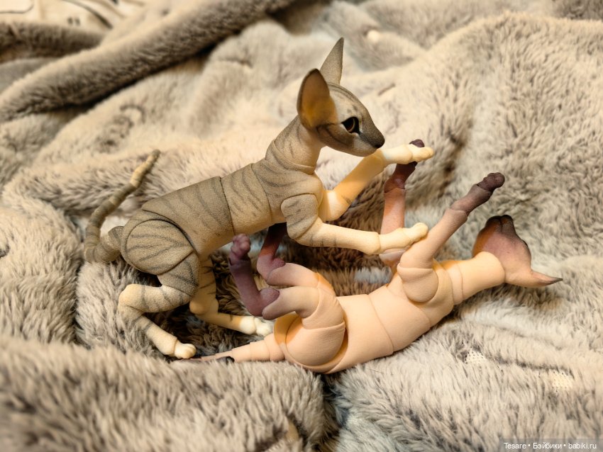 Любовь, кусь и котики — Домашние фото авторских кукол: личные коллекции