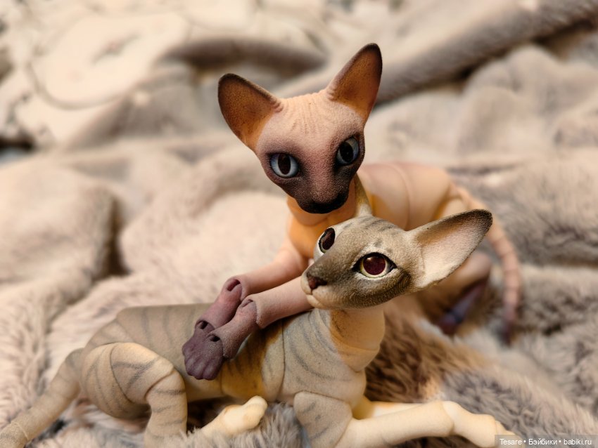 Любовь, кусь и котики — Домашние фото авторских кукол: личные коллекции