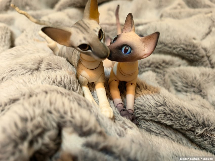 Любовь, кусь и котики — Домашние фото авторских кукол: личные коллекции