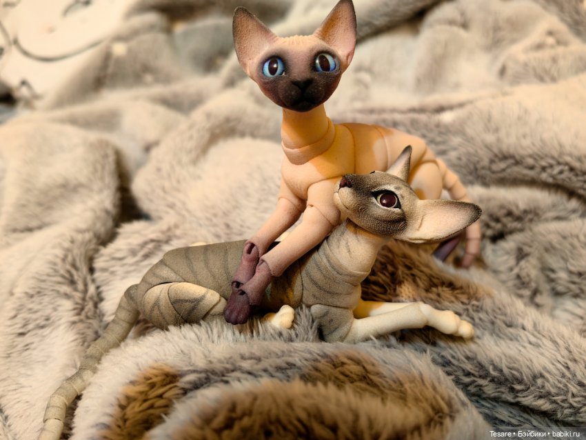 Любовь, кусь и котики — Домашние фото авторских кукол: личные коллекции