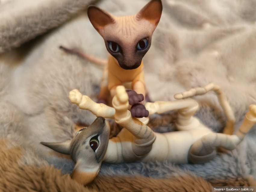 Любовь, кусь и котики — Домашние фото авторских кукол: личные коллекции (фото 2)