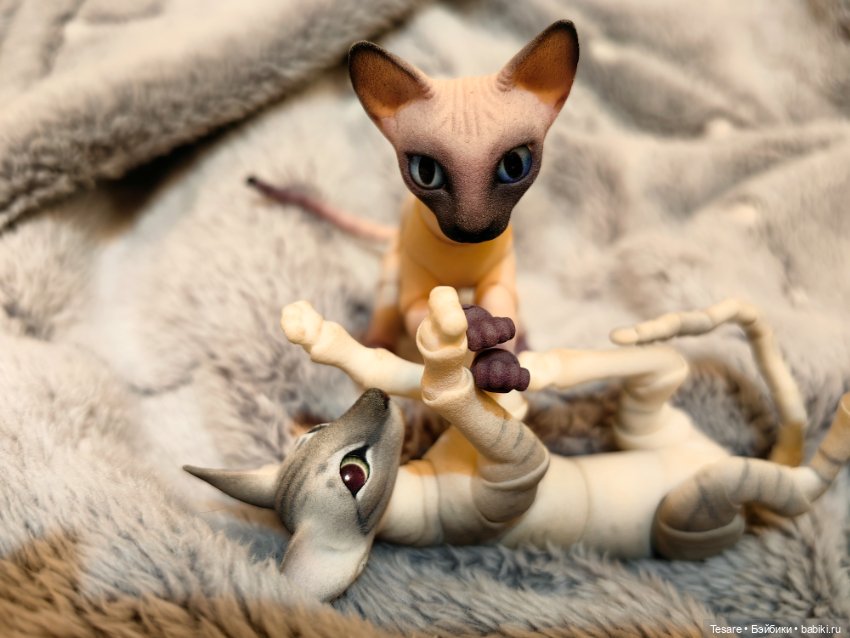 Любовь, кусь и котики — Домашние фото авторских кукол: личные коллекции (фото 3)