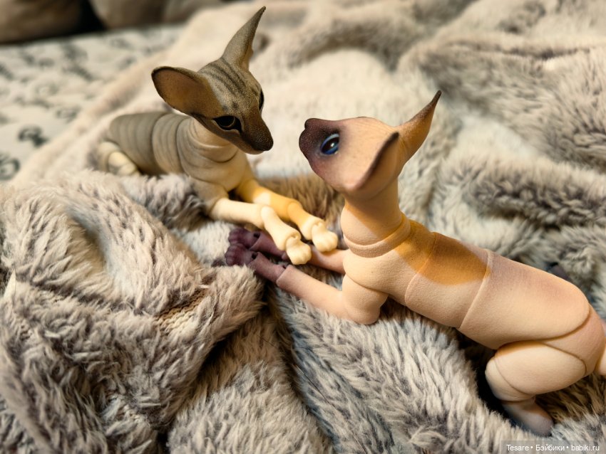 Любовь, кусь и котики — Домашние фото авторских кукол: личные коллекции