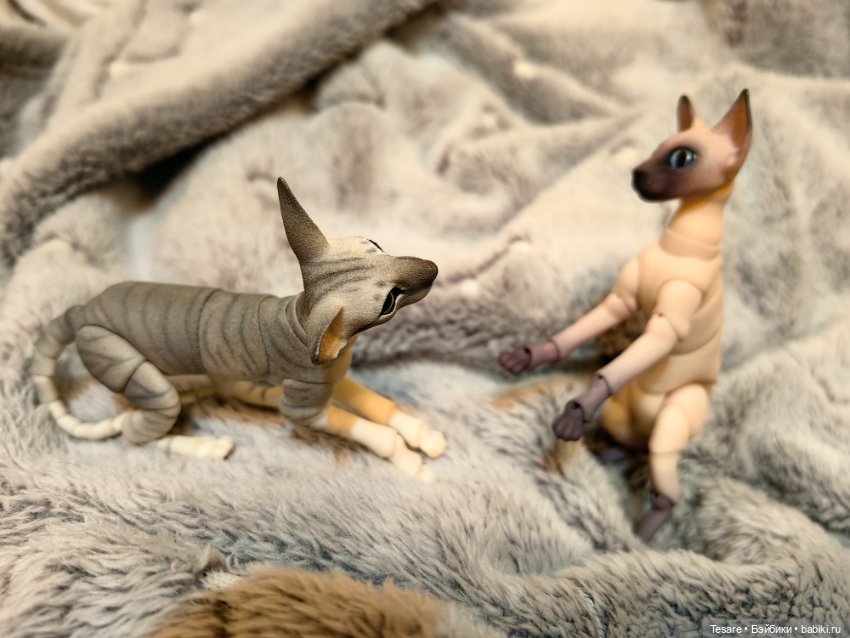 Любовь, кусь и котики — Домашние фото авторских кукол: личные коллекции (фото 10)