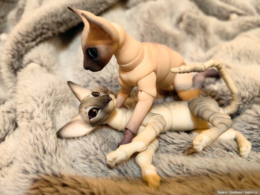 Любовь, кусь и котики — Домашние фото авторских кукол: личные коллекции (фото 7)