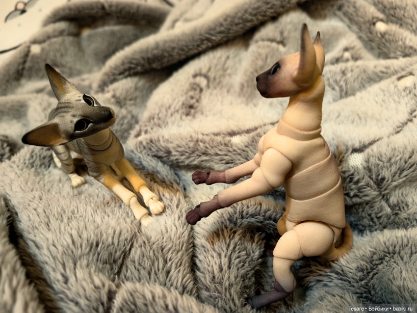 Любовь, кусь и котики — Домашние фото авторских кукол: личные коллекции (фото 9)