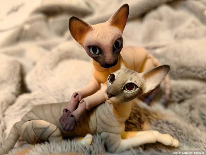 Любовь, кусь и котики — Домашние фото авторских кукол: личные коллекции