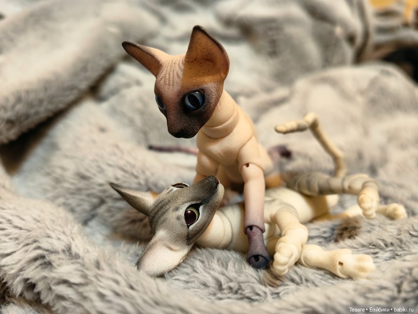 Любовь, кусь и котики — Домашние фото авторских кукол: личные коллекции (фото 8)