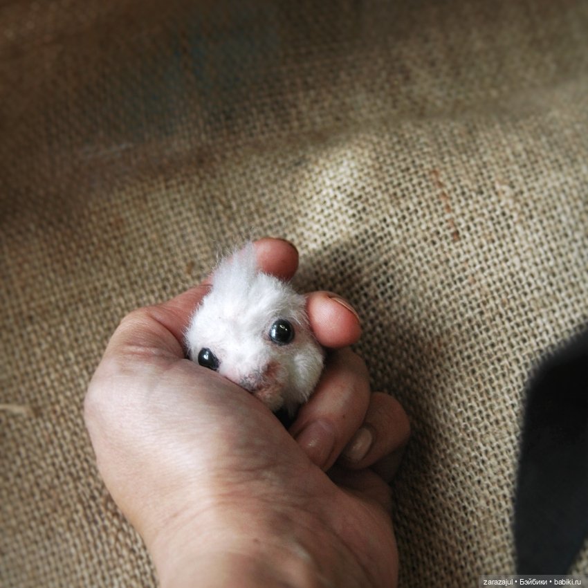 Рождение нового — Текстильные игрушки и примитивы: кофейные (фото 3)