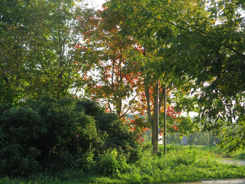 Первое осеннее 2023 — Игровые куклы разных производителей (Разное): редкие бренды (фото 2)