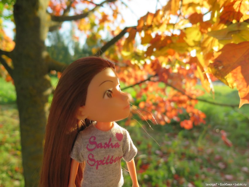 Первое осеннее 2023 — Игровые куклы разных производителей (Разное): редкие бренды (фото 5)