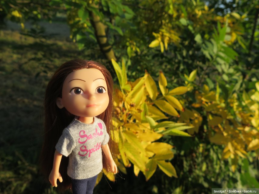 Первое осеннее 2023 — Игровые куклы разных производителей (Разное): редкие бренды