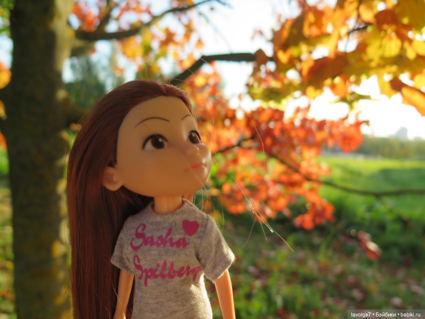 Первое осеннее 2023 — Игровые куклы разных производителей (Разное): редкие бренды