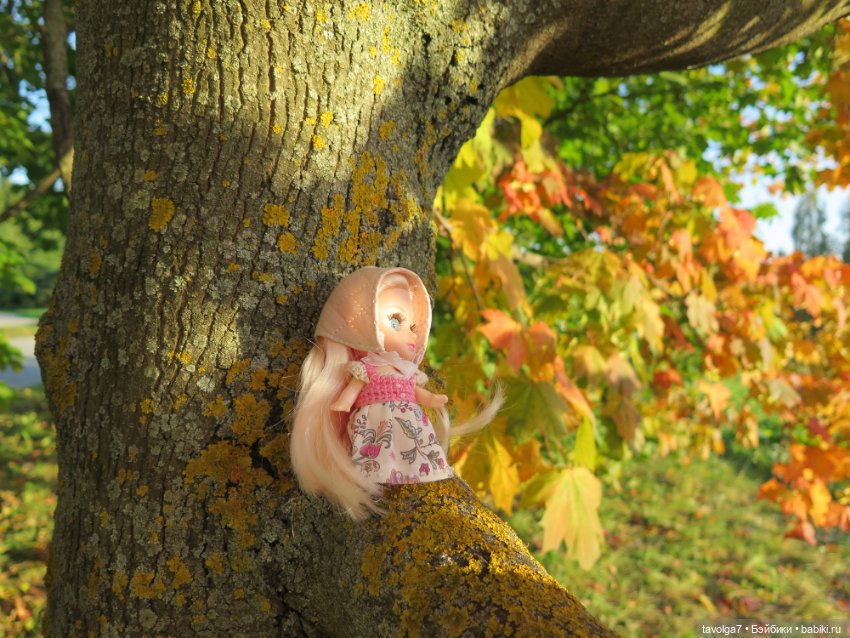 Первое осеннее 2023 — Игровые куклы разных производителей (Разное): редкие бренды (фото 9)