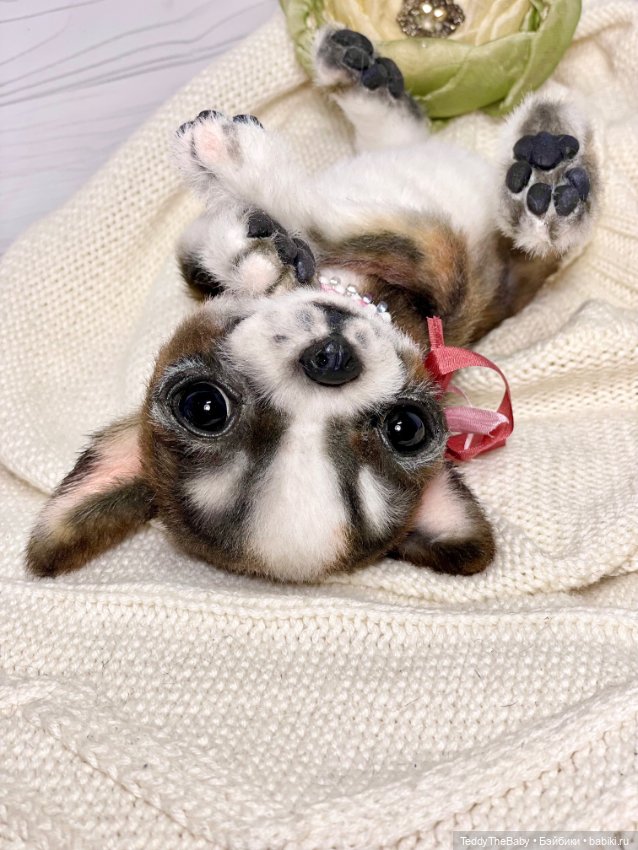 Криспин — Реалистичные игрушки и звери (Натюр): собаки (фото 9)