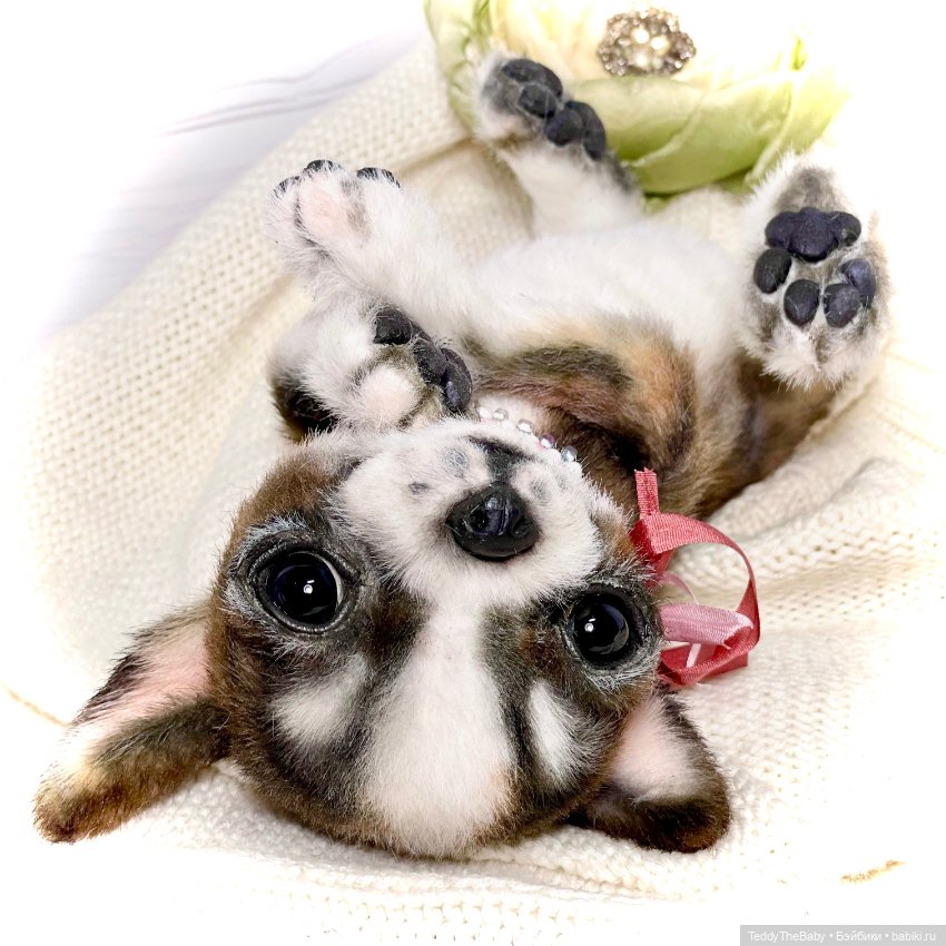 Криспин — Реалистичные игрушки и звери (Натюр): собаки