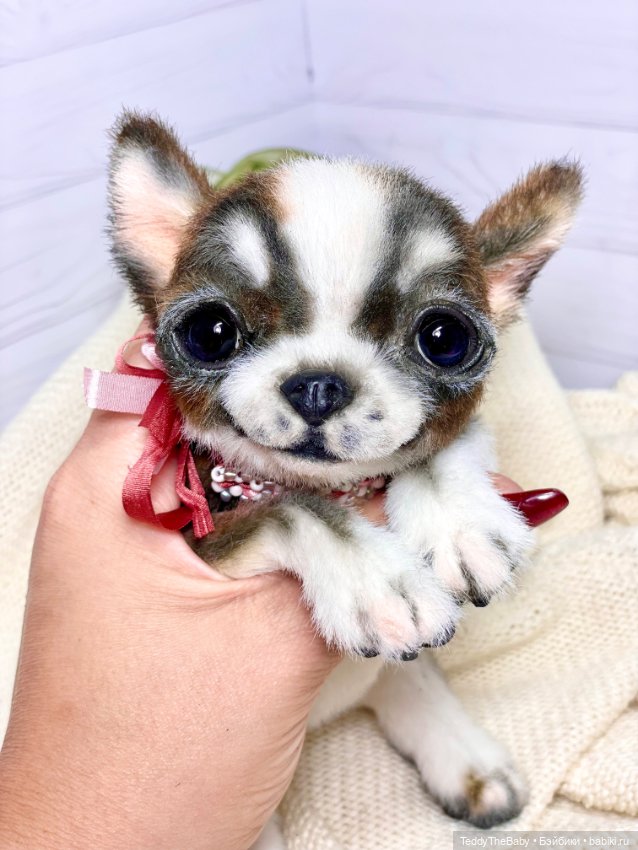 Криспин — Реалистичные игрушки и звери (Натюр): собаки (фото 4)