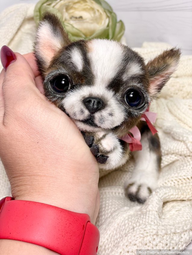 Криспин — Реалистичные игрушки и звери (Натюр): собаки