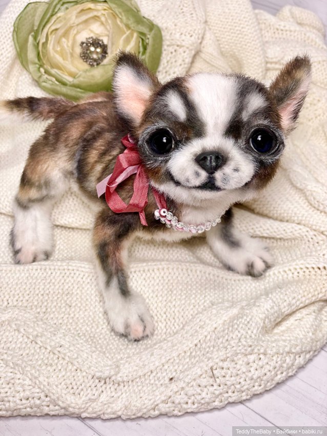 Криспин — Реалистичные игрушки и звери (Натюр): собаки