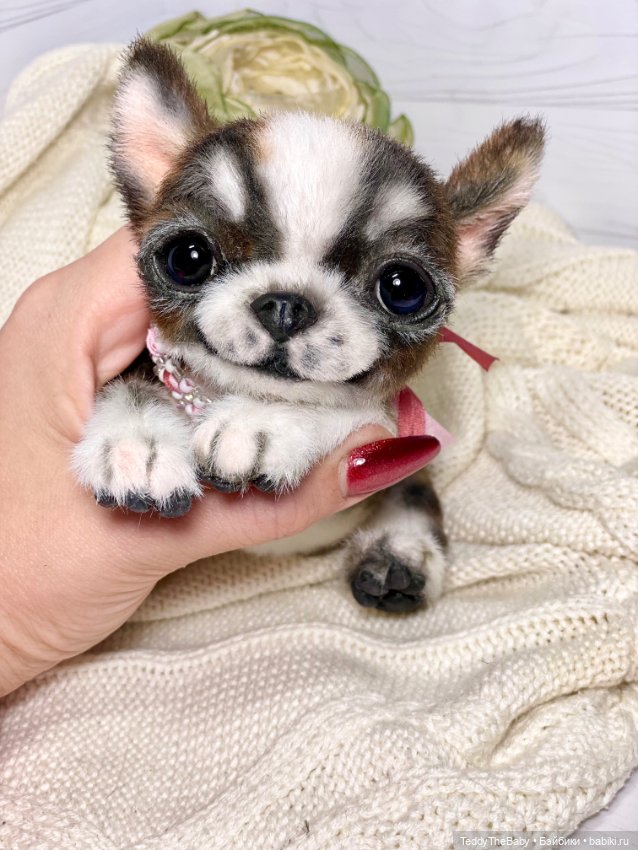 Криспин — Реалистичные игрушки и звери (Натюр): собаки