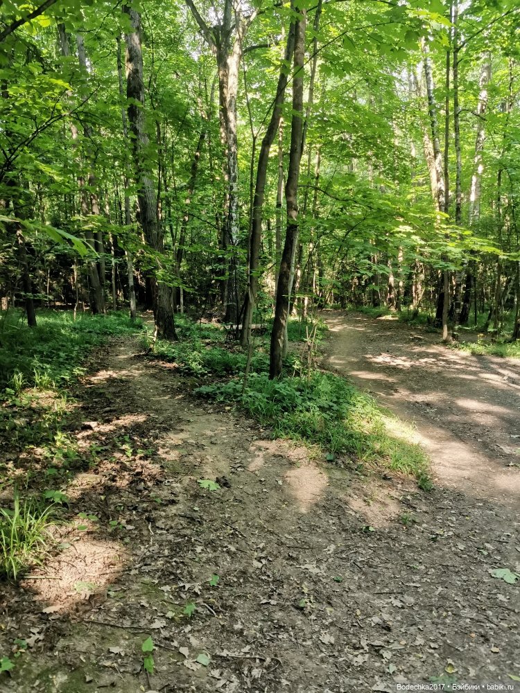 Лесная кошечка — Игровые куклы разных производителей (Разное): редкие бренды