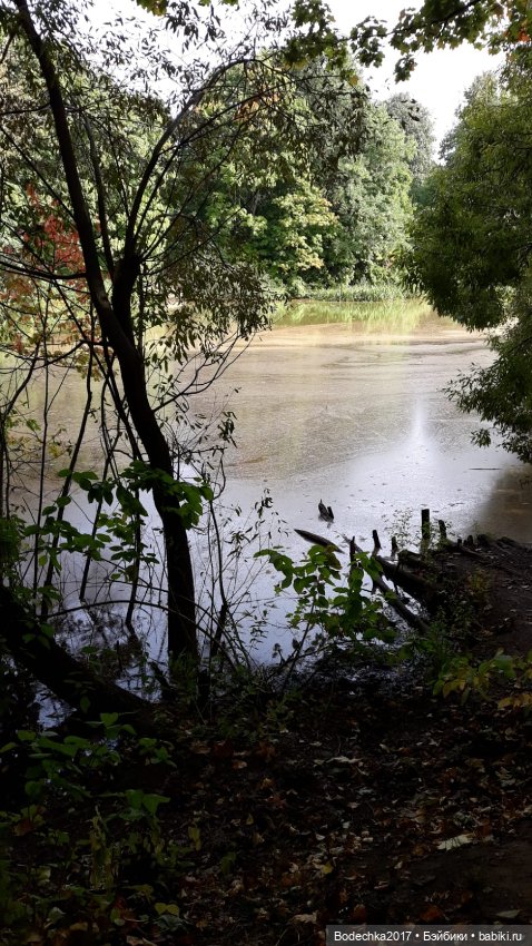 Лесная кошечка — Игровые куклы разных производителей (Разное): редкие бренды (фото 4)