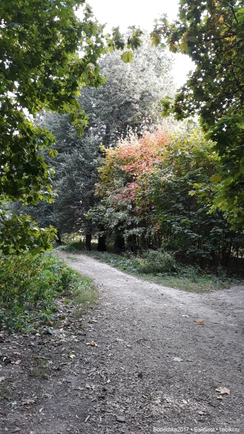 Лесная кошечка — Игровые куклы разных производителей (Разное): редкие бренды (фото 8)