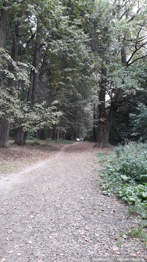 Лесная кошечка — Игровые куклы разных производителей (Разное): редкие бренды (фото 7)