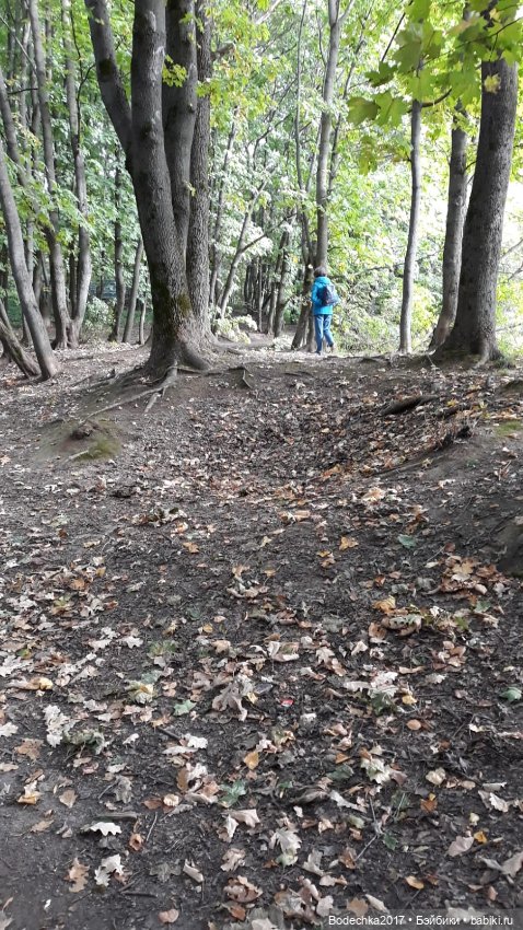 Лесная кошечка — Игровые куклы разных производителей (Разное): редкие бренды (фото 5)