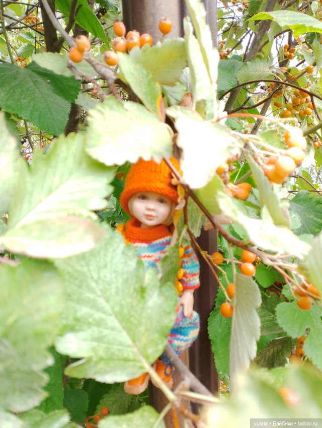 Санькина осень — Домашние фото авторских кукол: личные коллекции