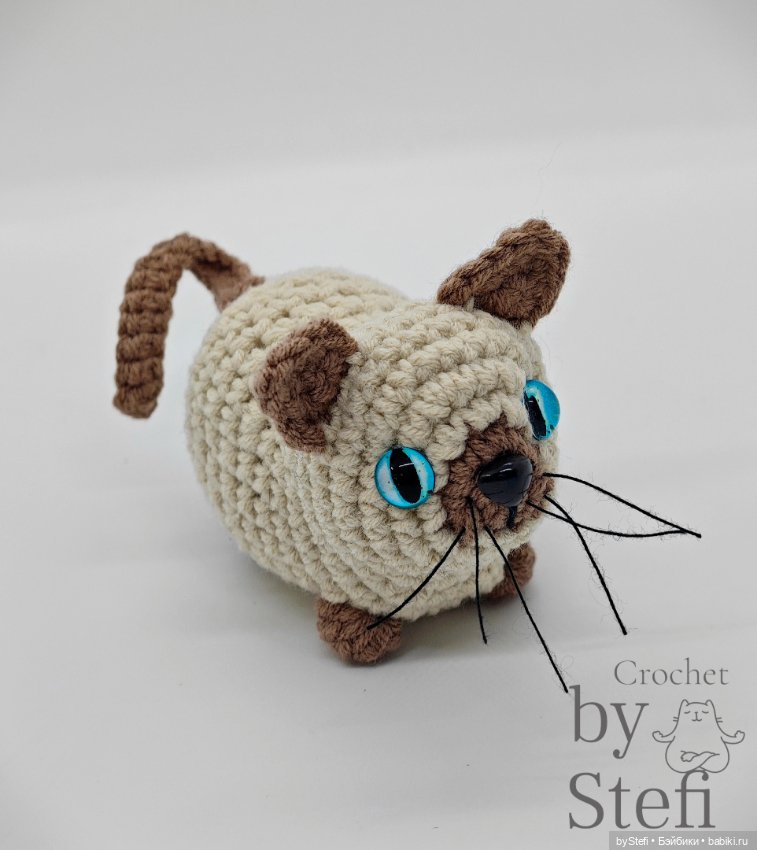 Давайте знакомиться - Кот Бублик