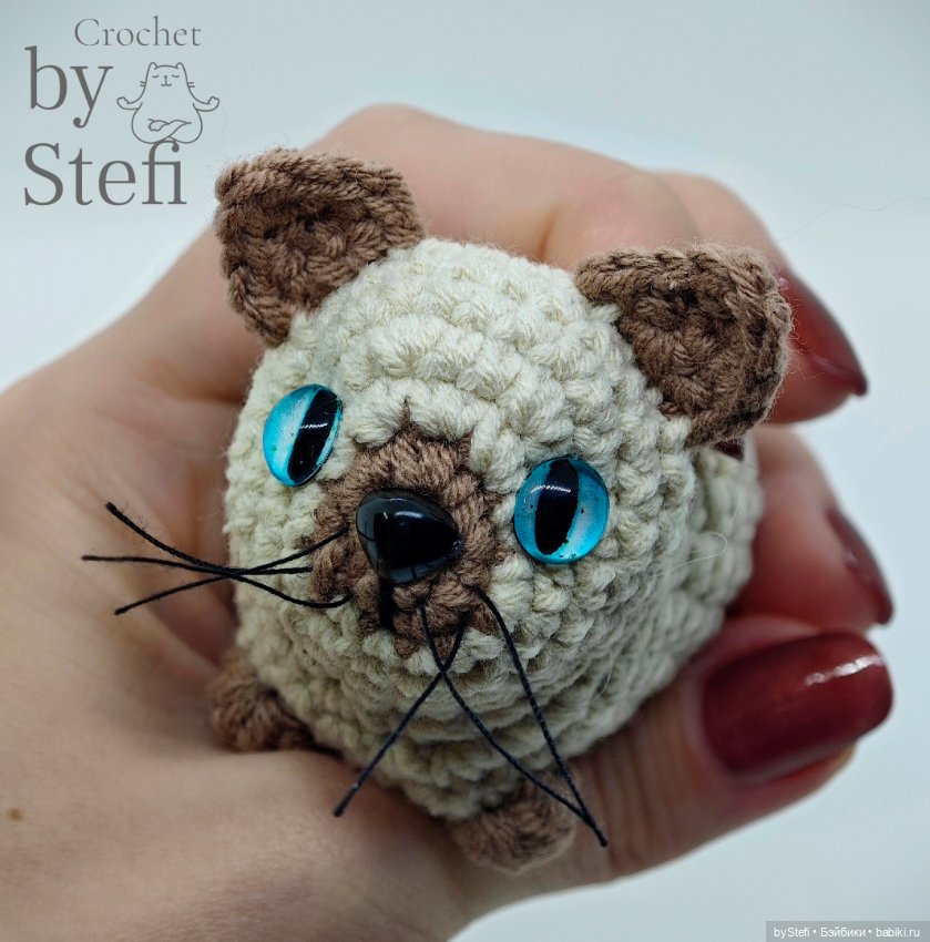 Давайте знакомиться - Кот Бублик (фото 9)