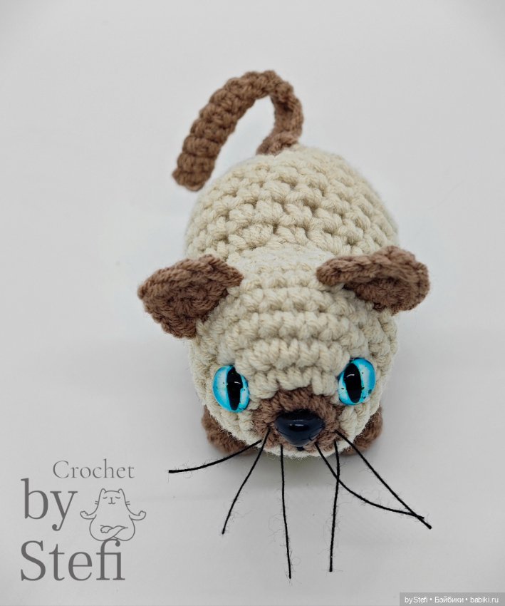 Давайте знакомиться - Кот Бублик