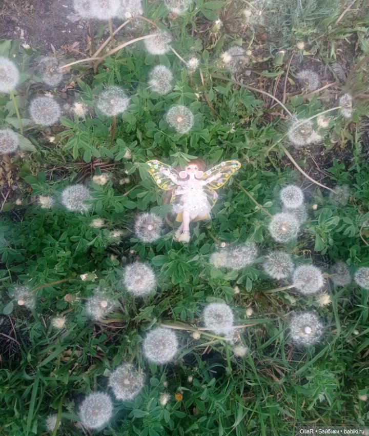 Мышуня-Бабочка или История одной фотки с Клопом🪲 (фото 7)