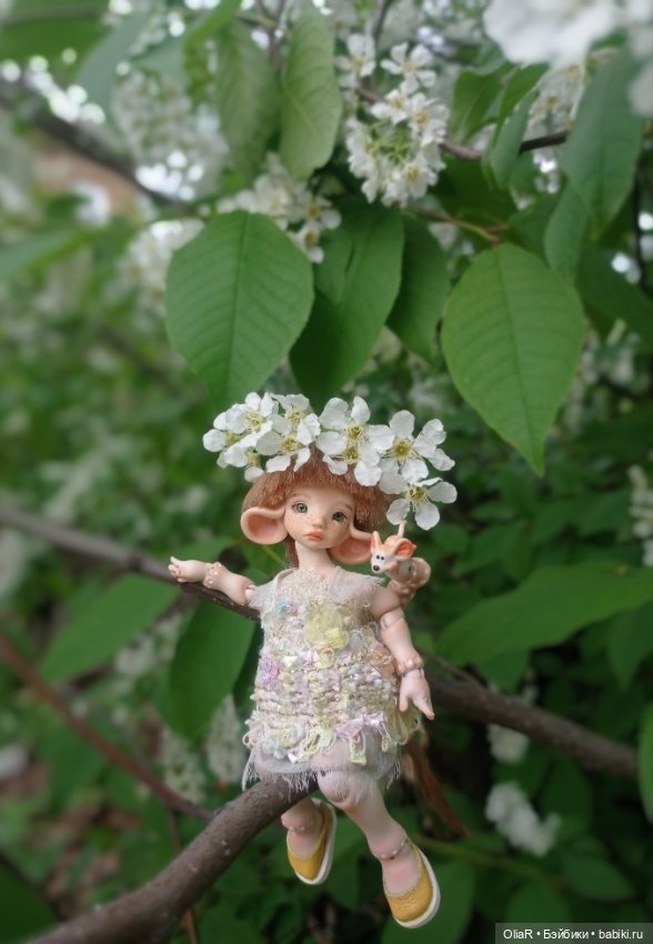 Мышуня-Бабочка или История одной фотки с Клопом🪲