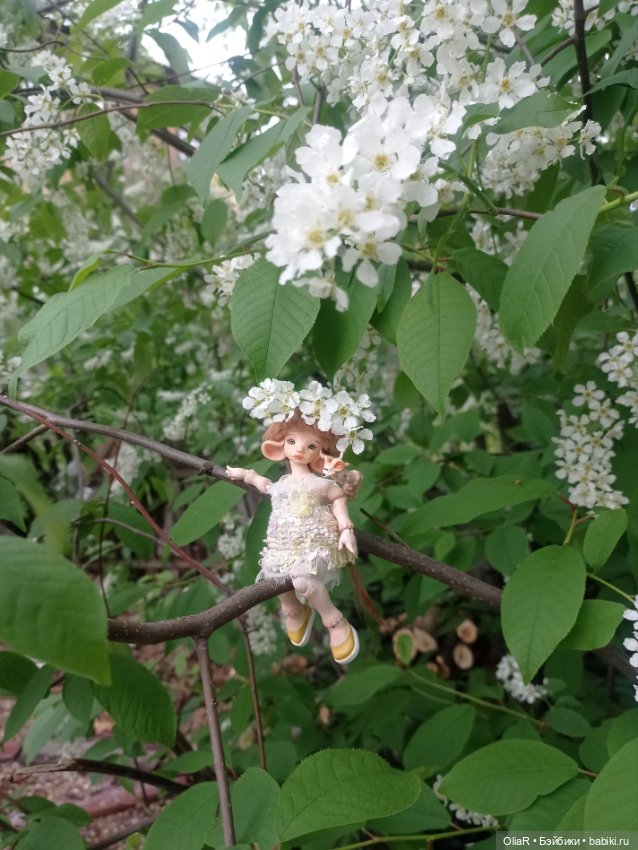 Мышуня-Бабочка или История одной фотки с Клопом🪲