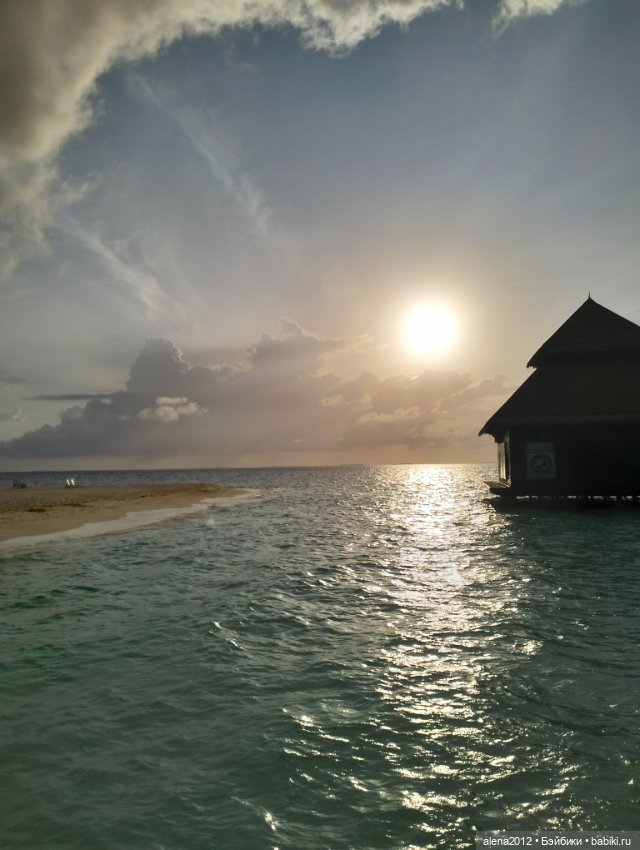 О том, как мы с собачкой стали контрабандистками