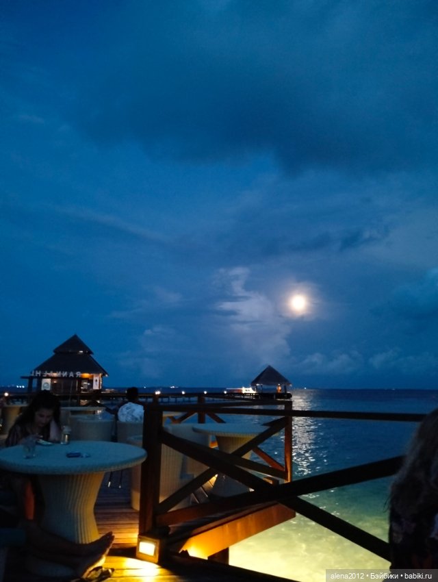 О том, как мы с собачкой стали контрабандистками