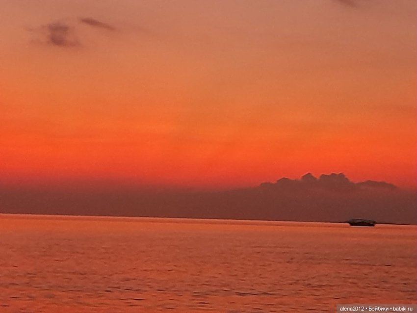 О том, как мы с собачкой стали контрабандистками