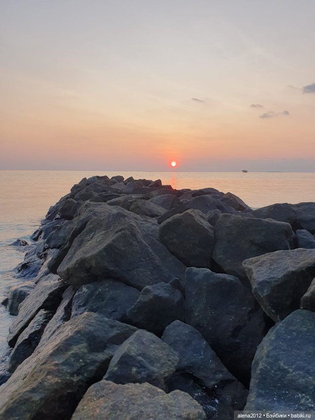 О том, как мы с собачкой стали контрабандистками