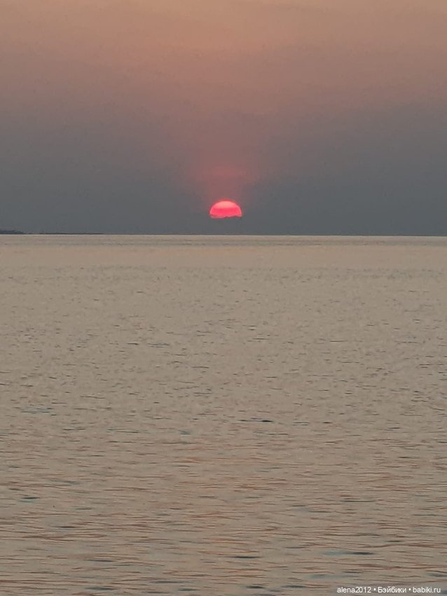 О том, как мы с собачкой стали контрабандистками