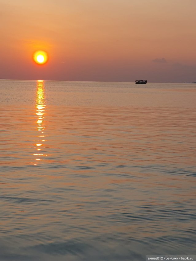 О том, как мы с собачкой стали контрабандистками