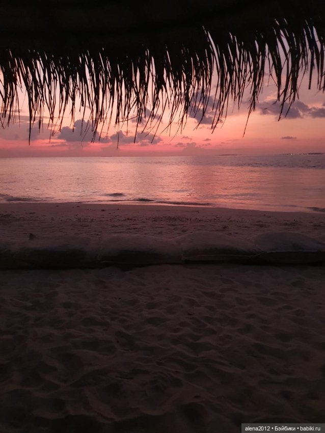 О том, как мы с собачкой стали контрабандистками