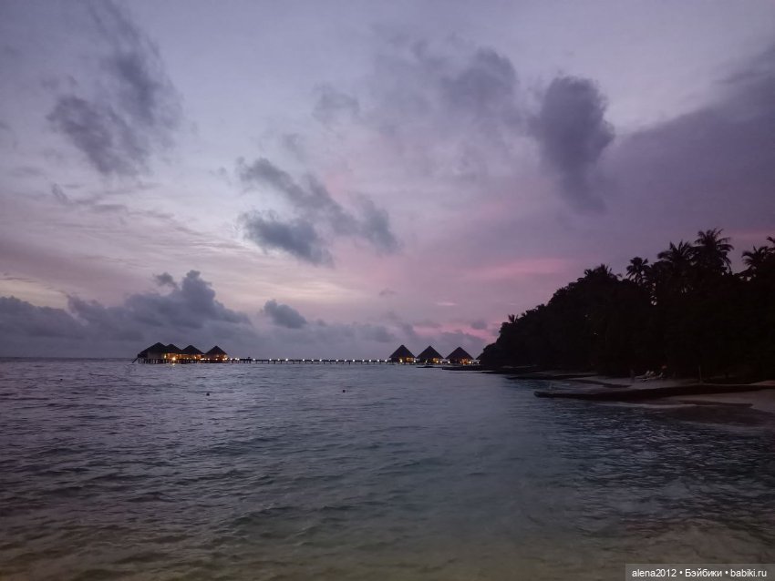 О том, как мы с собачкой стали контрабандистками