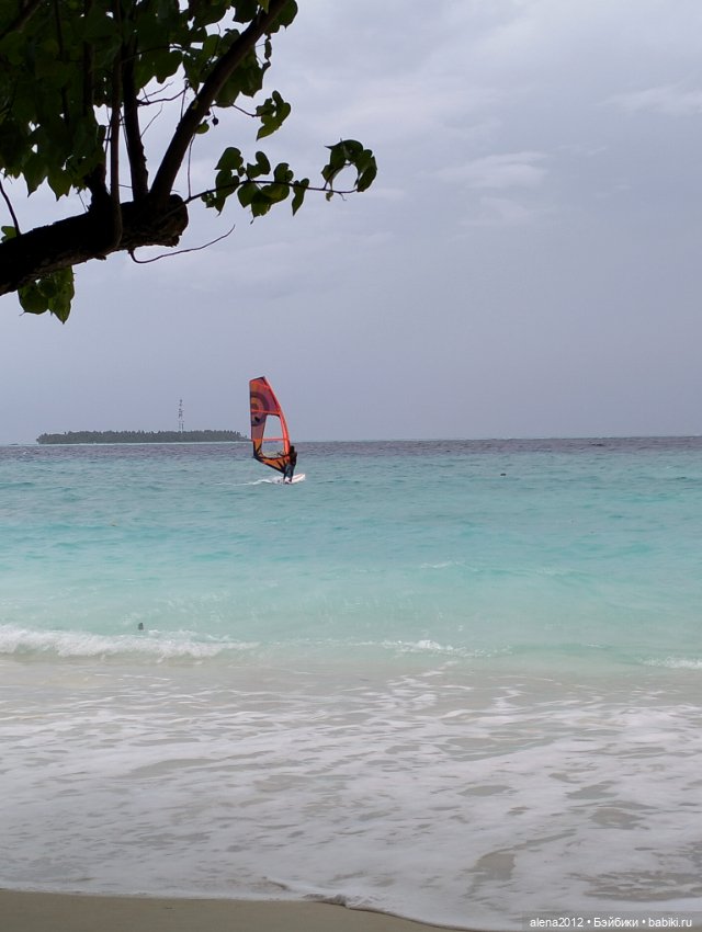 О том, как мы с собачкой стали контрабандистками