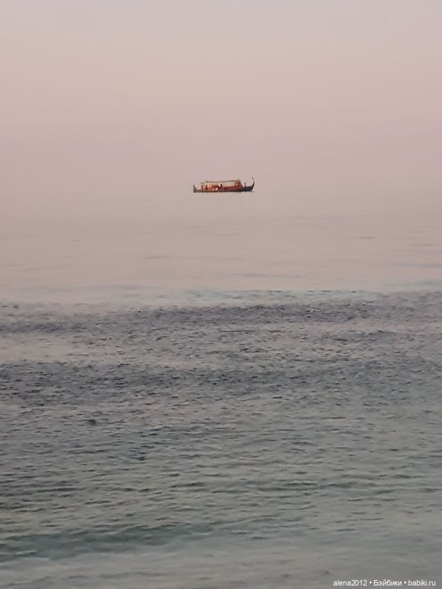 О том, как мы с собачкой стали контрабандистками