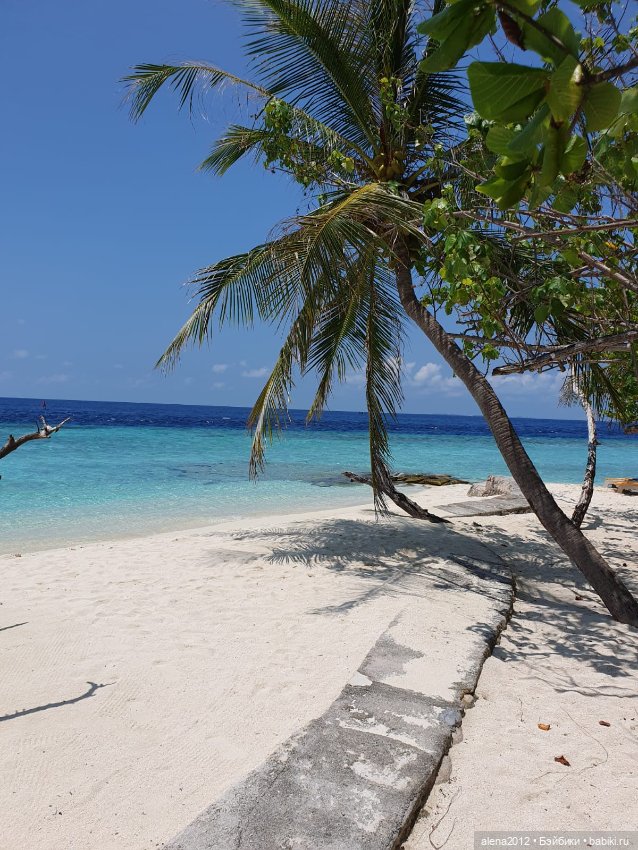 О том, как мы с собачкой стали контрабандистками